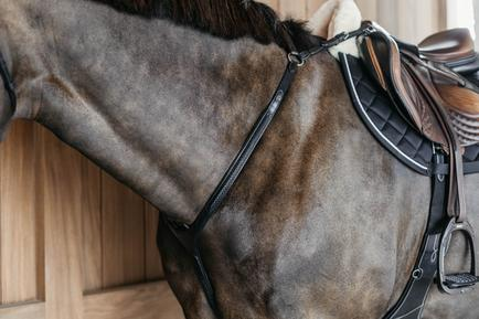 Dy'on New English Collection Plaited Bridge Breastplate