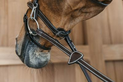 Dy'on Working Collection Flash Noseband Bridle with Snap Cheekpieces