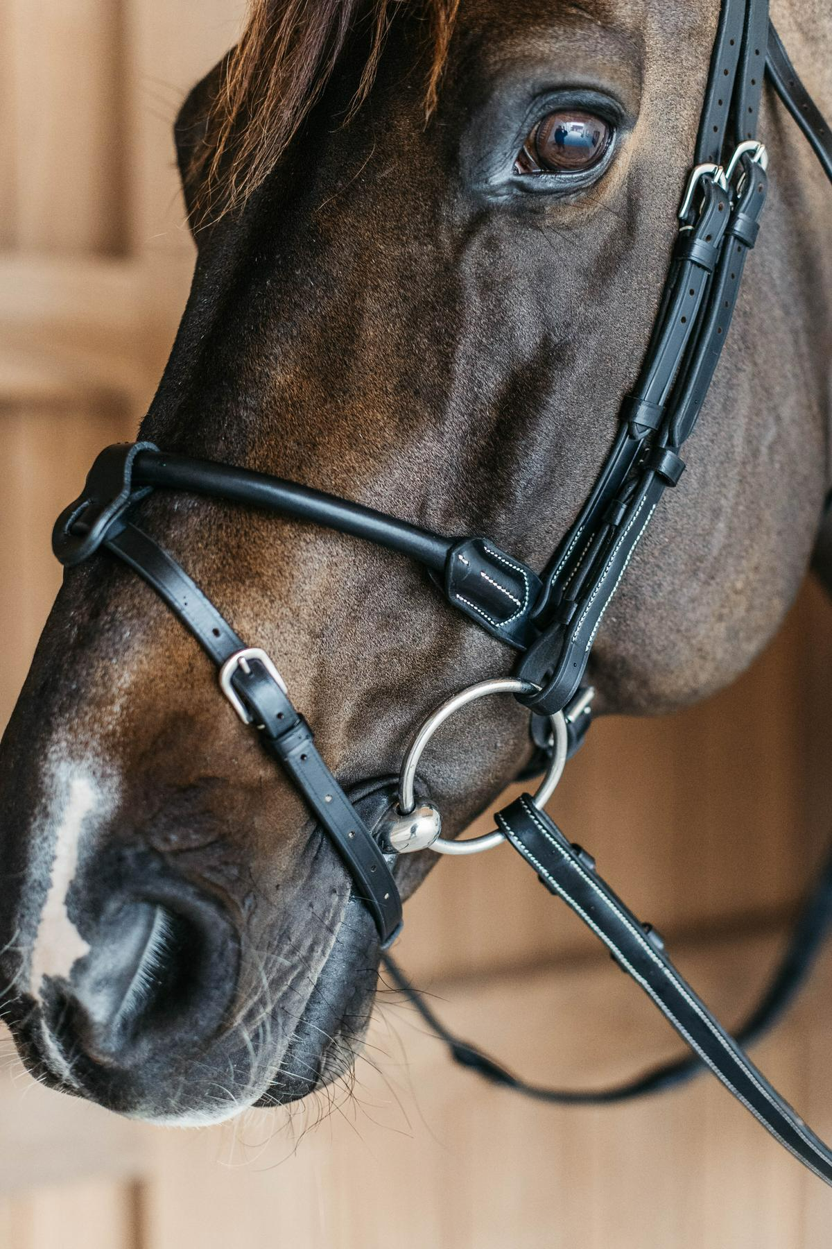 Dy'on Working Collection Round Leather Bridle