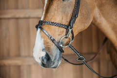 Dy'on Working Collection Plaited Training Bridle