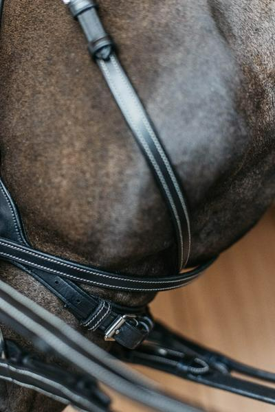 Dy'on Working Collection Working Motion Bridle