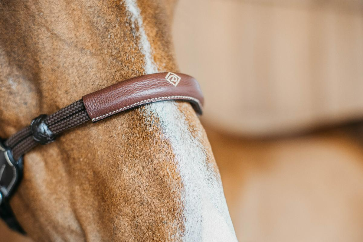 Dy'on Working Collection Bitless Bridle