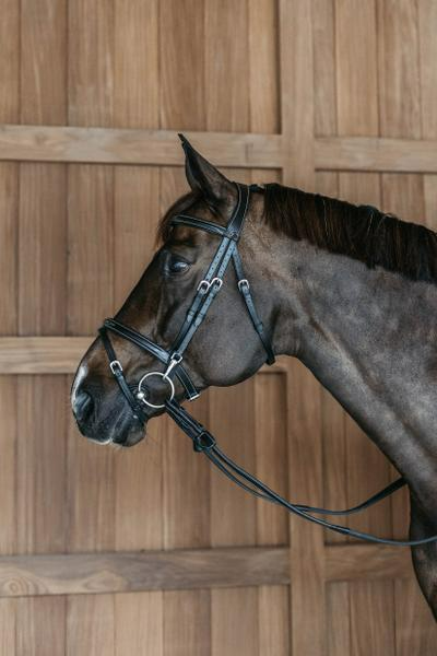 Dy'on Working Collection Flash Noseband Bridle with Snap Cheekpieces