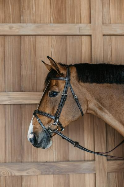 Dy'on Working Collection Flash Noseband Bridle with Snap Cheekpieces