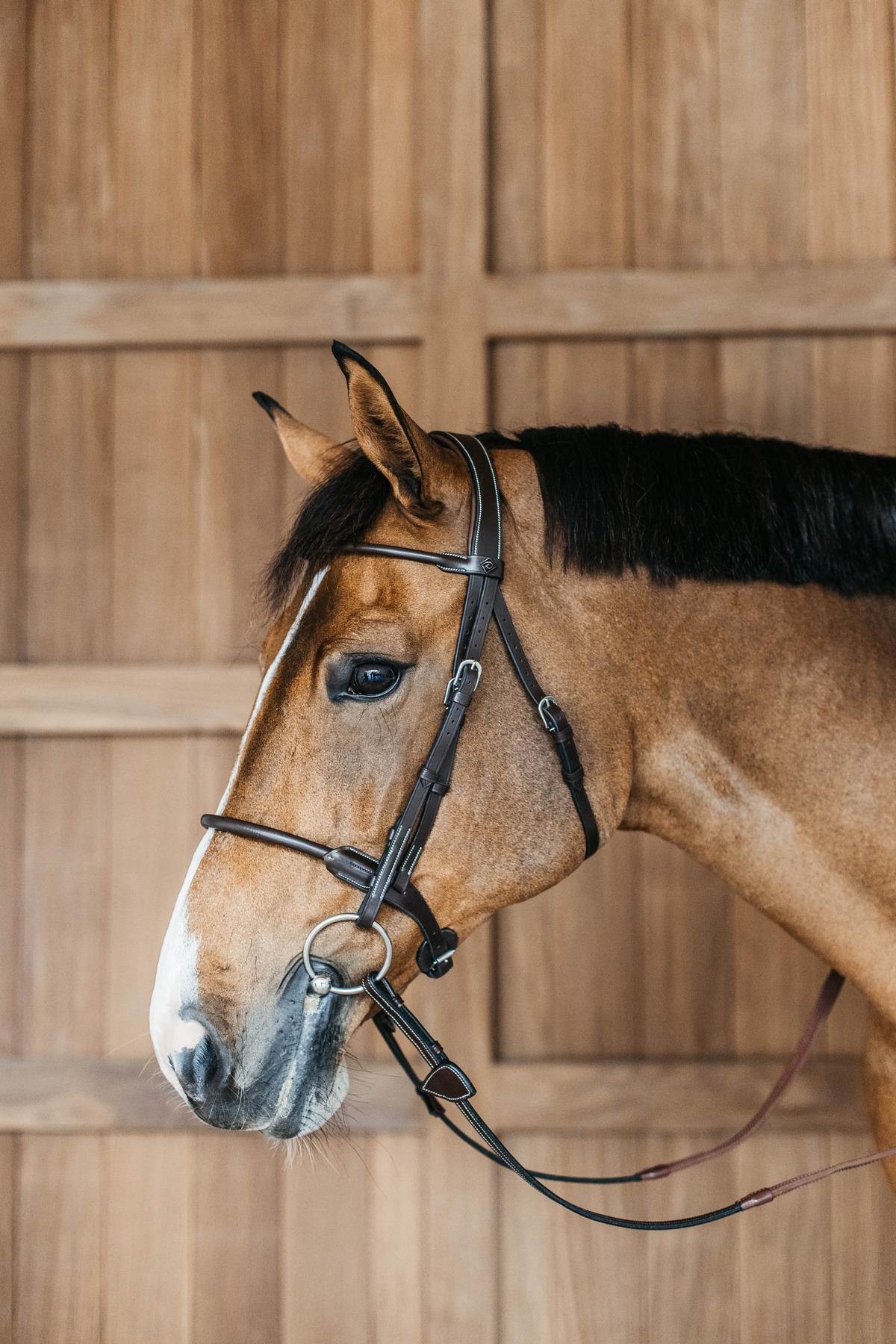 Dy'on Working Collection Round Leather Bridle