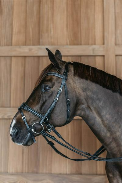 Dy'on Working Collection Working Motion Bridle