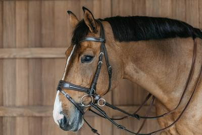 Dy'on Working Collection Working Motion Bridle