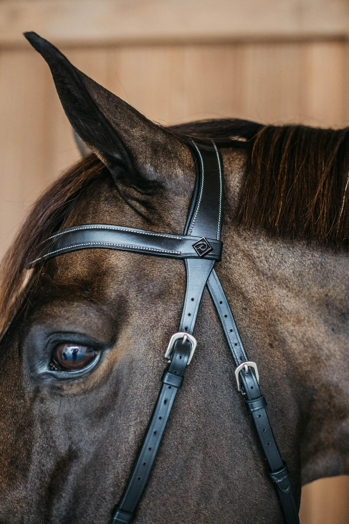 Dy'on Working Collection Bitless Bridle