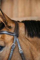 Dy'on Working Collection Bitless Bridle