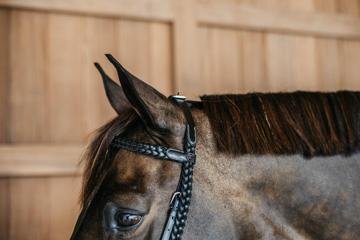 Dy'on Working Collection Plaited Training Bridle