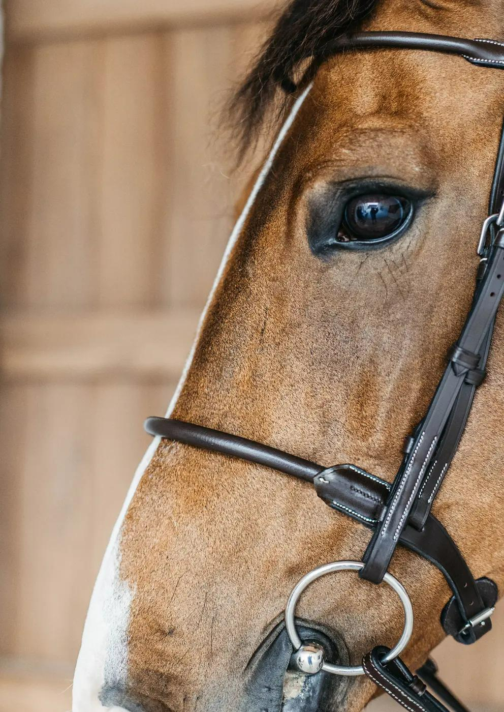 Dy'on Working Collection Round Leather Bridle