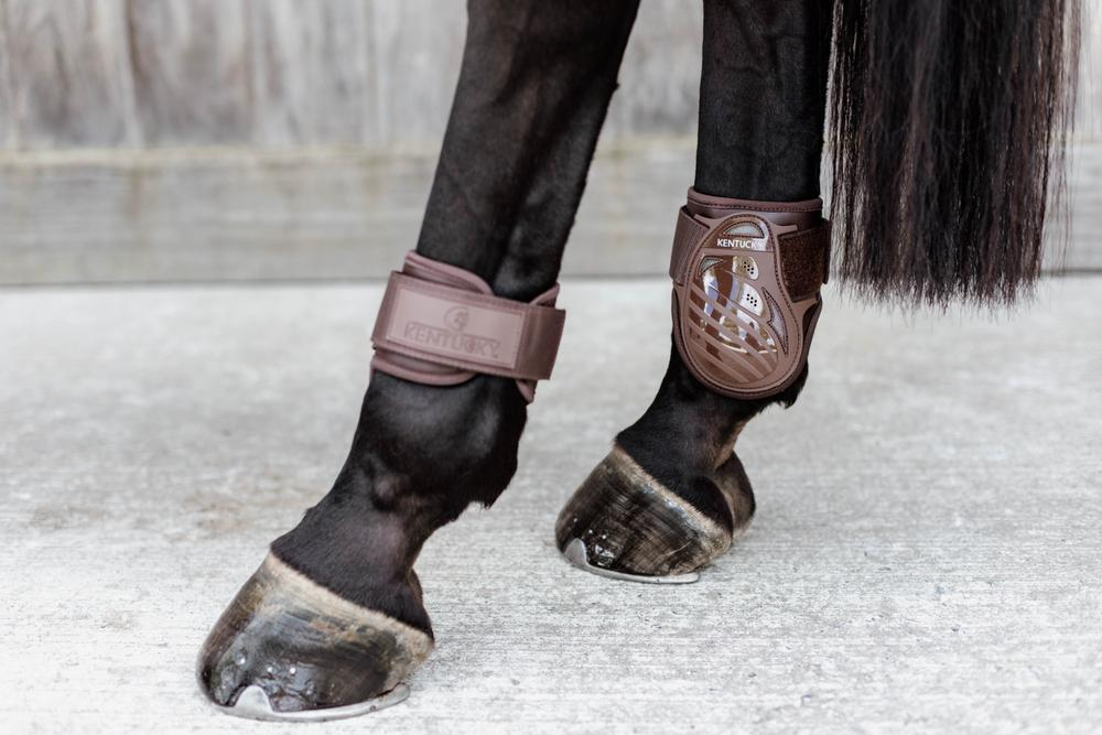 Kentucky Horsewear Young Horse Fetlock Boots