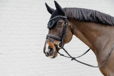 Dy'on D Collection Plaited Flash Noseband Bridle with Pull back
