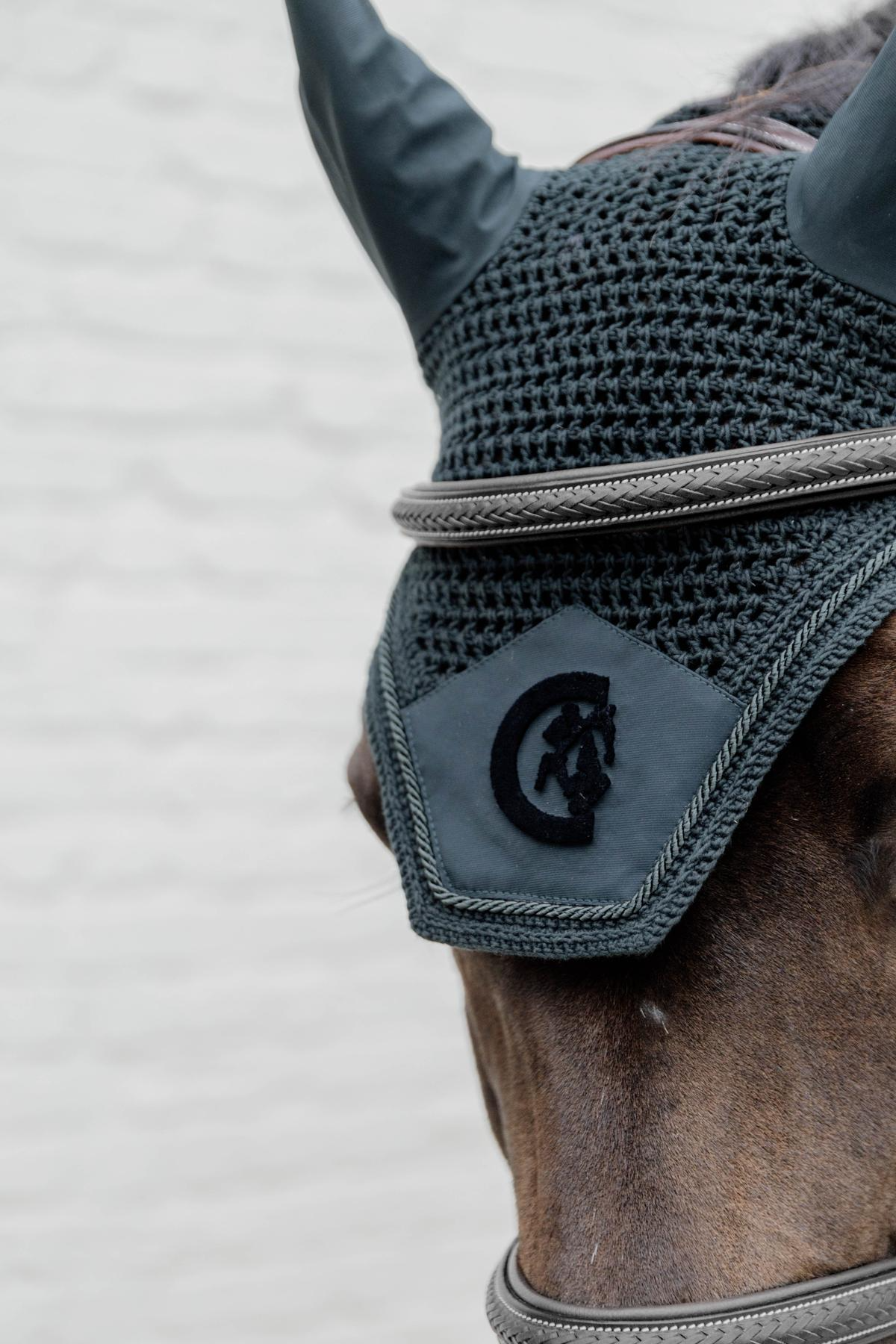 Dy'on D Collection Plaited Flash Noseband Bridle