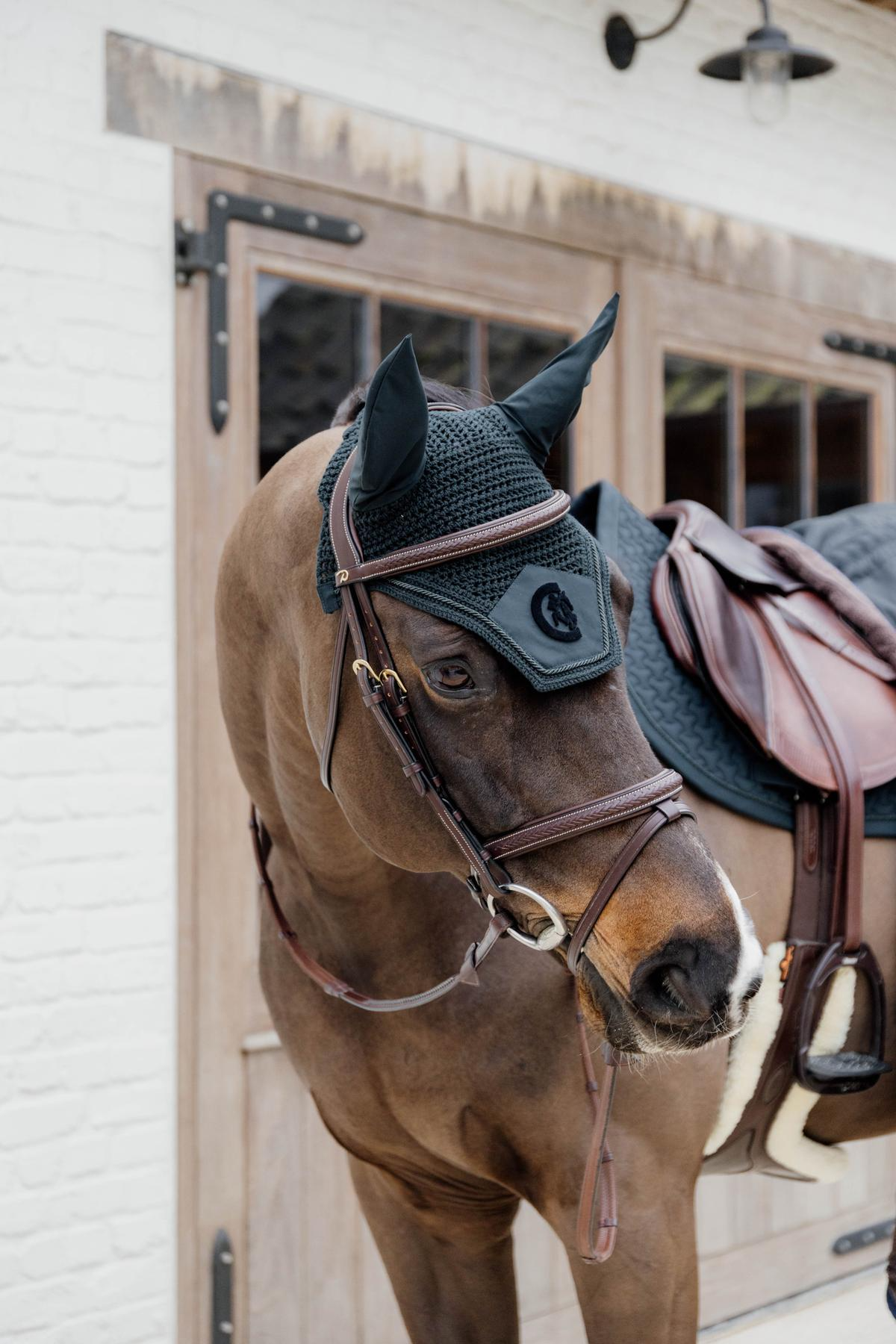 Dy'on D Collection Plaited Flash Noseband Bridle