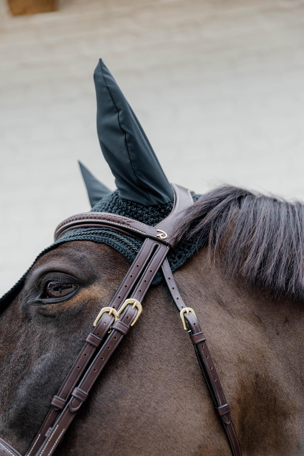 Dy'on D Collection Plaited Flash Noseband Bridle