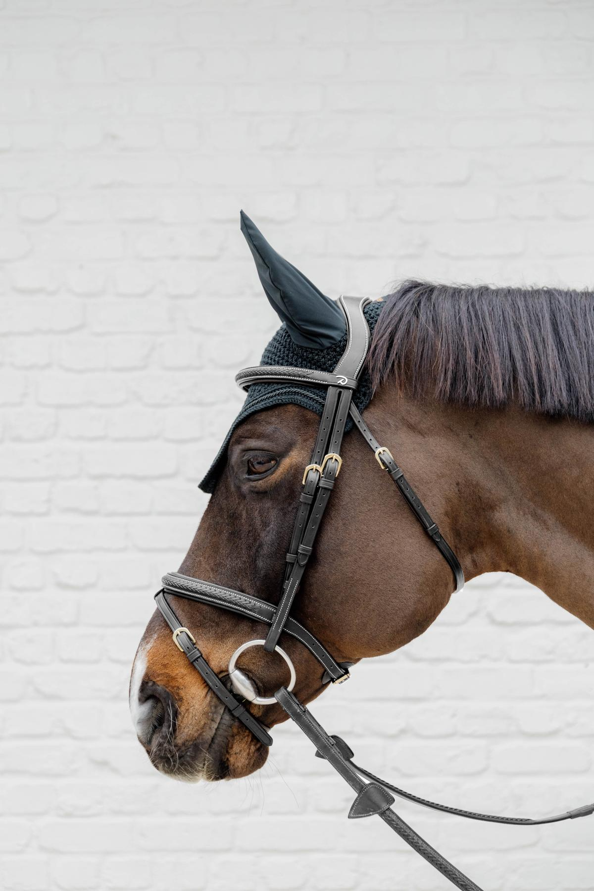 Dy'on D Collection Plaited Flash Noseband Bridle