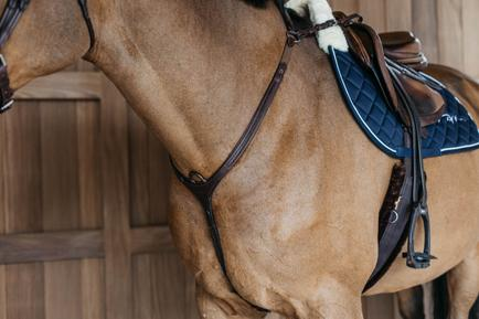 Dy'on New English Collection Plaited Bridge Breastplate