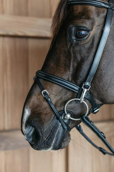 Dy'on Working Collection Training Bridle