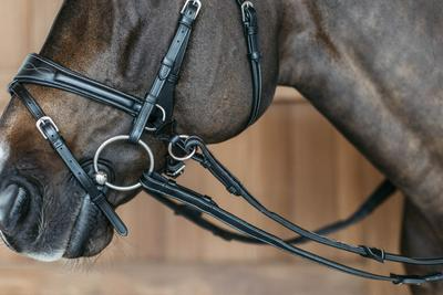 Dy'on Working Collection Working Motion Bridle