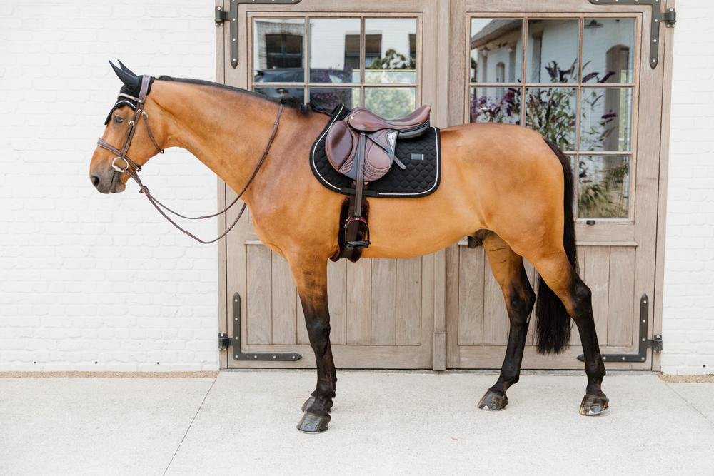 Kentucky Horsewear Saddle Pad Onion Quilt Rubber Logo Jumping
