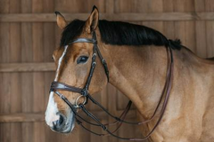 Dy'on Working Collection Working Motion Bridle