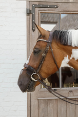 Kentucky Horsewear Anti Fly Nose Net