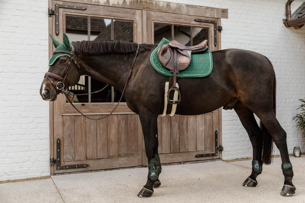 Kentucky Horsewear Young Horse Fetlock Boots