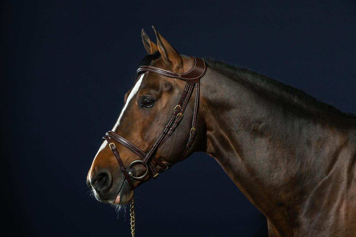 Dy'on D Collection "Difference" Bridle