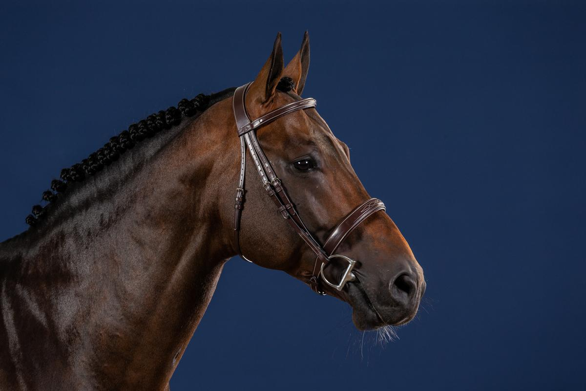 Dy'on US Hunter Collection Wide Noseband Hunter Bridle