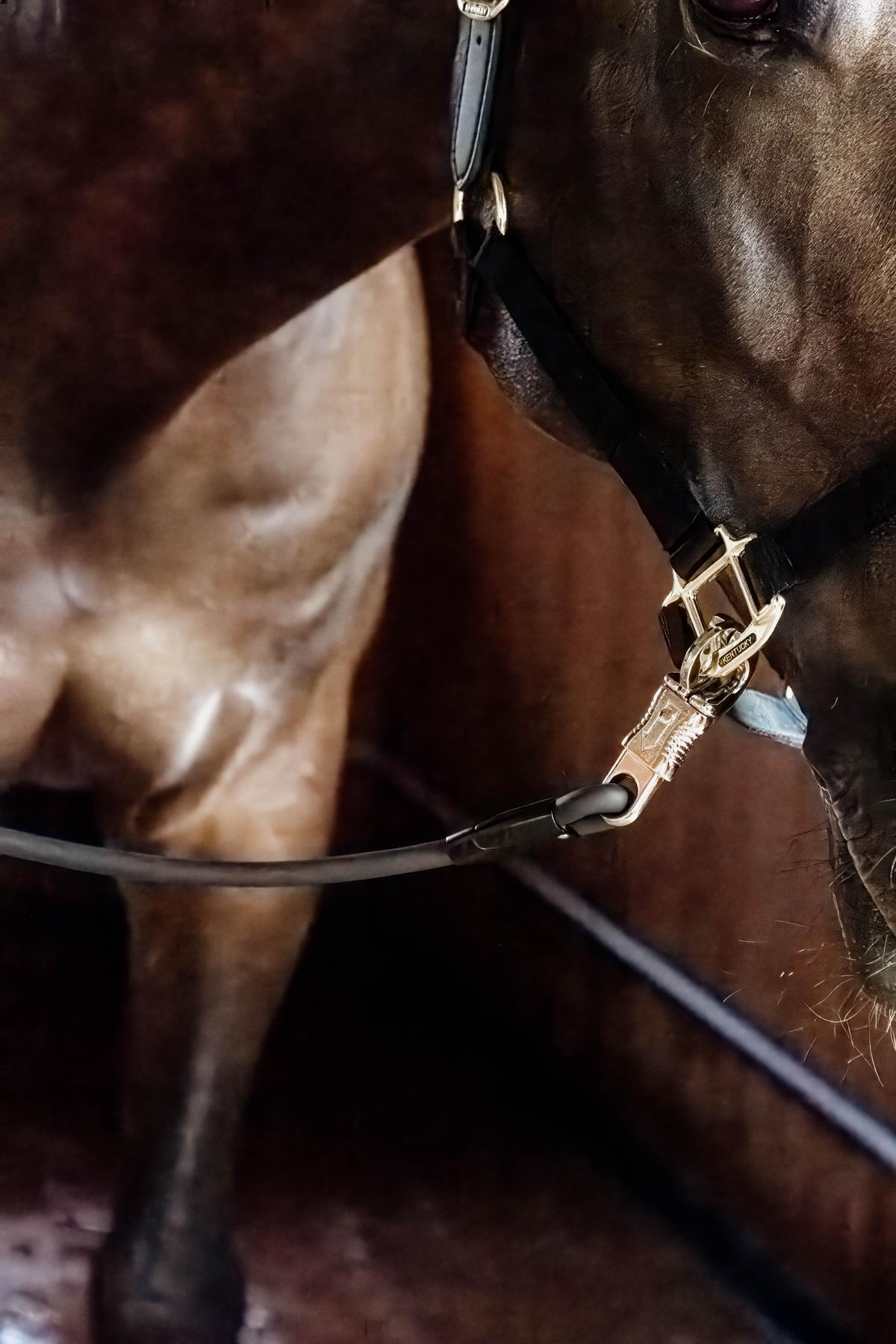 Kentucky Horsewear Horse Box Lead & Cross Ties Silicone