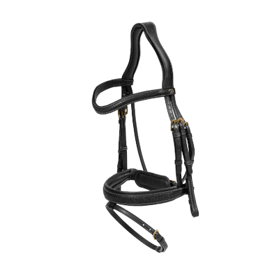Dy'on D Collection Plaited Flash Noseband Bridle with Pull back