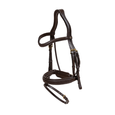 Dy'on D Collection Plaited Flash Noseband Bridle with Pull back