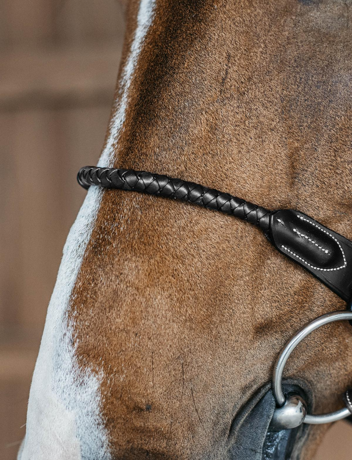 Dy'on D Collection Braided Flash Noseband Bridle