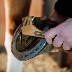 Grooming Deluxe Hoof Pick with metal bristles