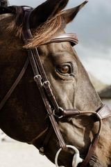 Dy'on New English Collection Elastic Hybrid Noseband Bridle