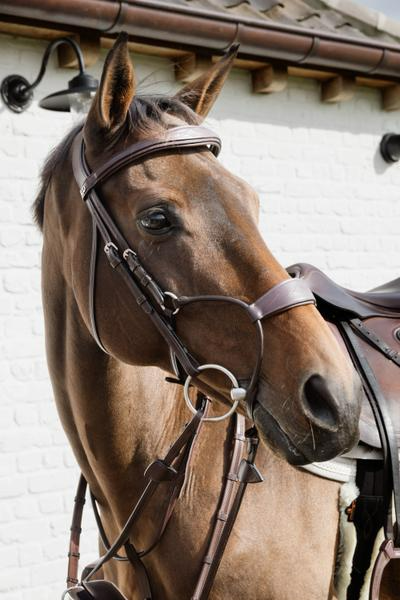 Dy'on New English Collection Hybrid Noseband Bridle