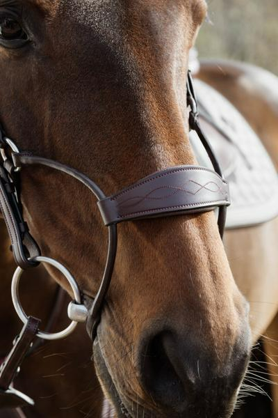Dy'on New English Collection Hybrid Noseband Bridle
