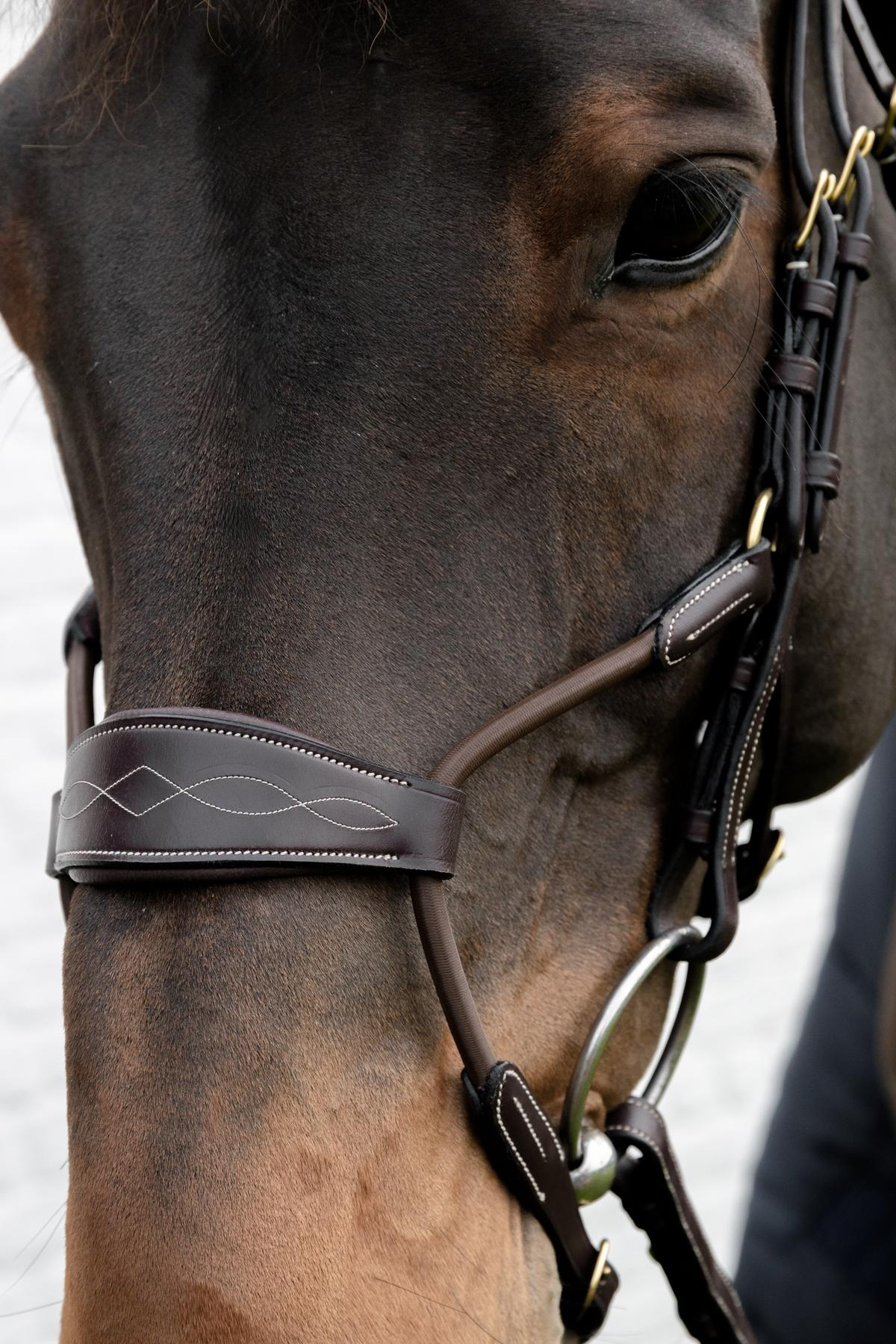 Dy'on D Collection Elastic Hybrid Noseband Bridle