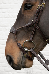 Dy'on D Collection Elastic Hybrid Noseband Bridle