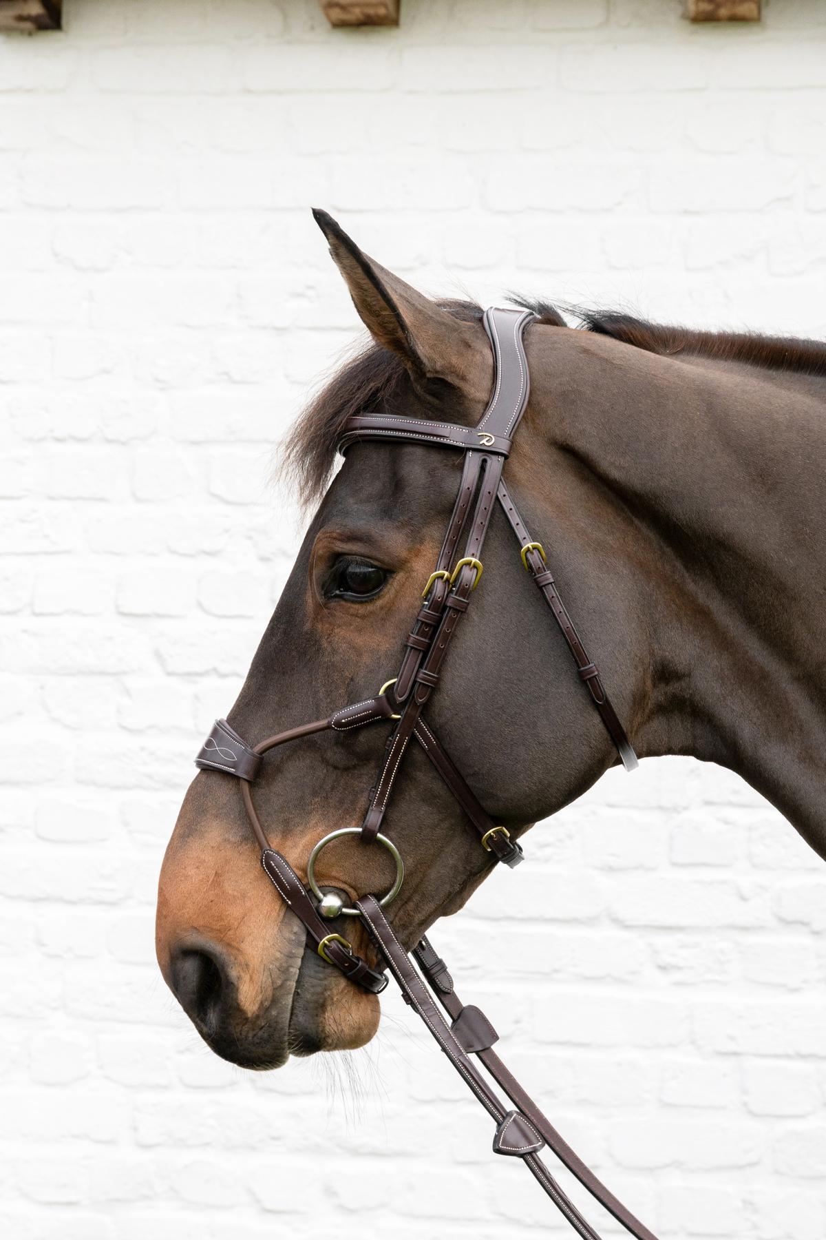 Dy'on D Collection Elastic Hybrid Noseband Bridle