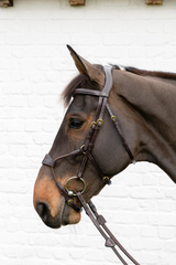 Dy'on D Collection Elastic Hybrid Noseband Bridle