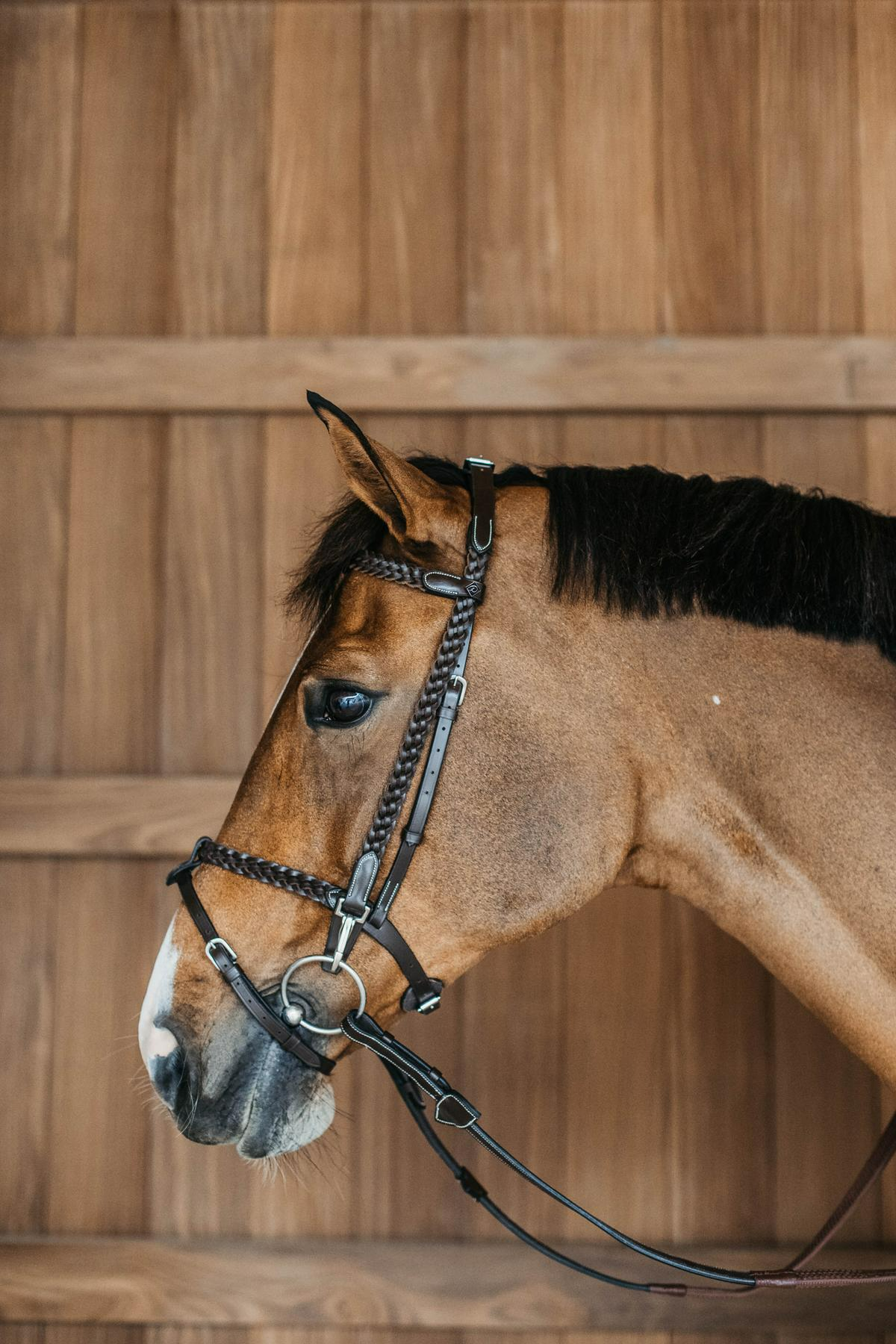 Dy'on Working Collection Plaited Training Bridle