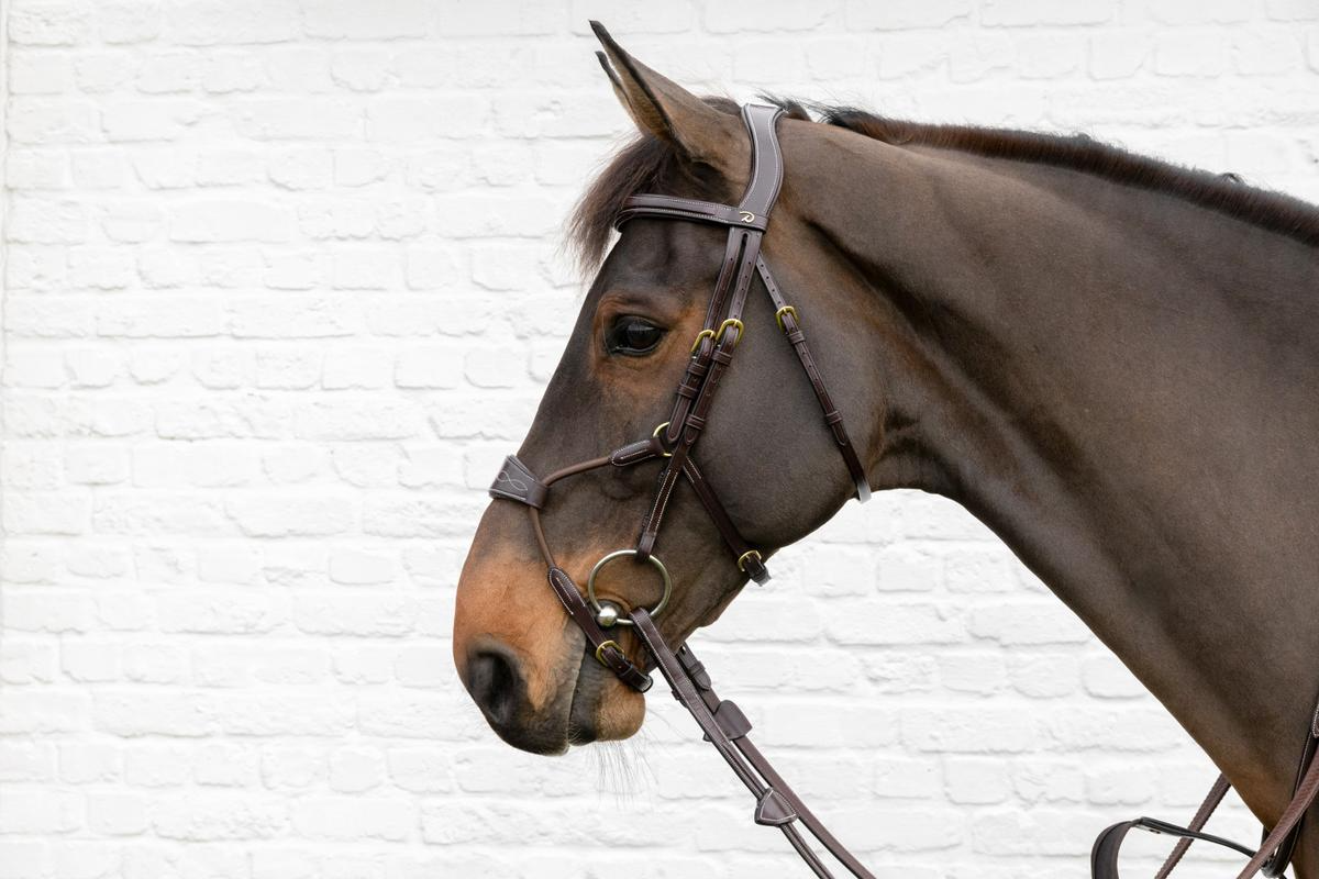 Dy'on D Collection Elastic Hybrid Noseband Bridle