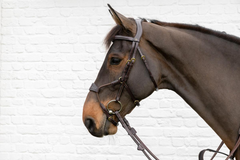 Dy'on D Collection Elastic Hybrid Noseband Bridle