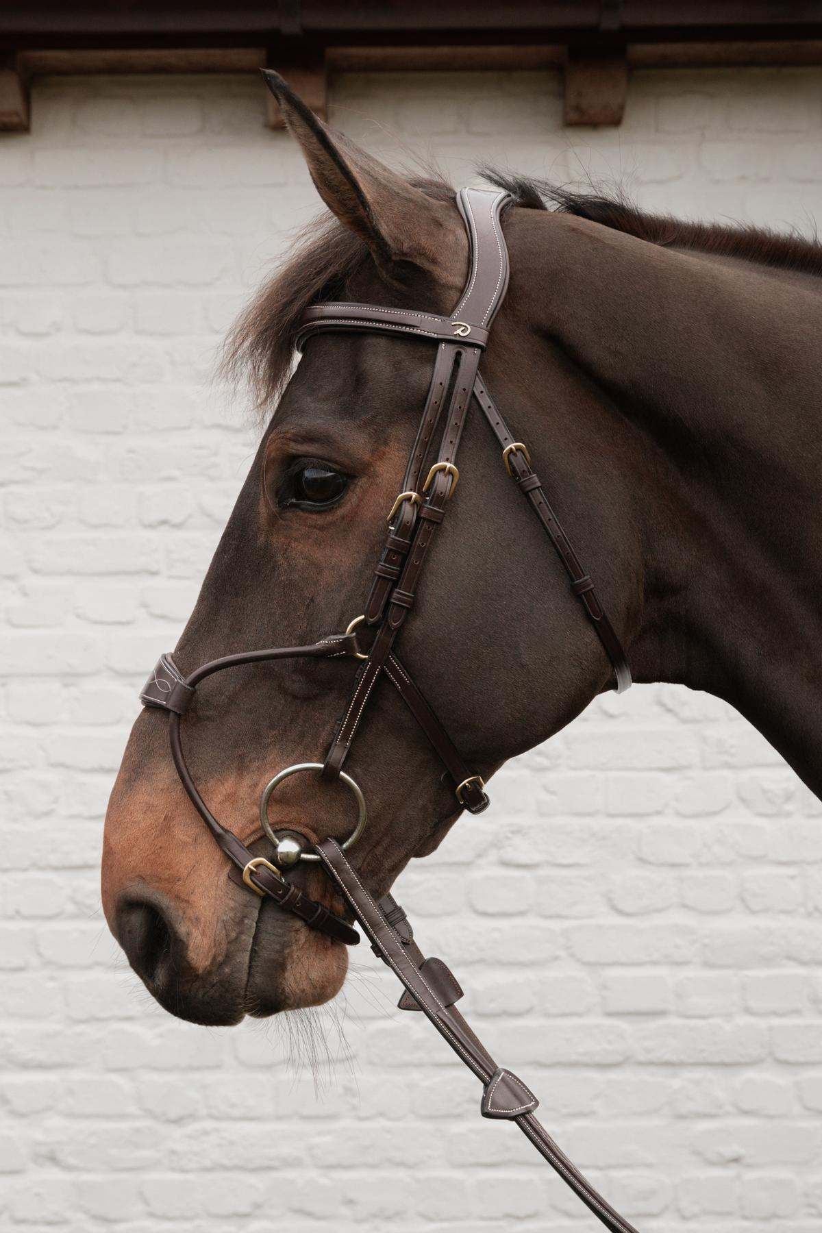 Dy'on D Collection Hybrid Noseband Bridle