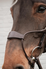 Dy'on D Collection Hybrid Noseband Bridle