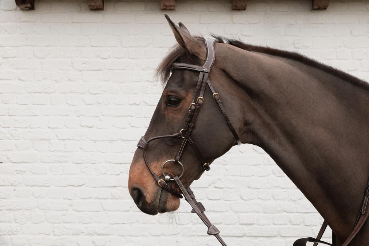 Dy'on D Collection Hybrid Noseband Bridle
