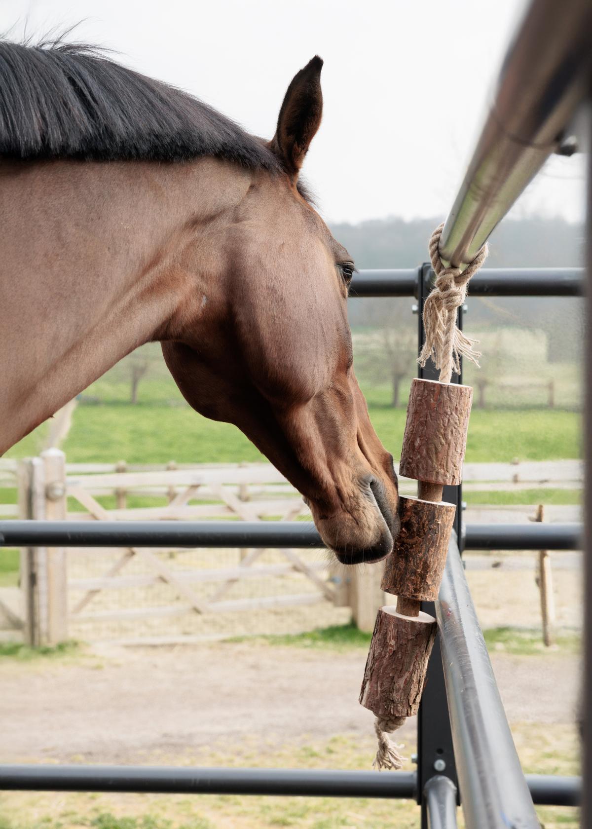 Grooming Deluxe Wooden Relax Horse Toy