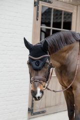 Dy'on D Collection Plaited Flash Noseband Bridle with Pull back